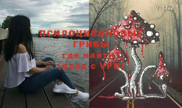 бутират Богданович