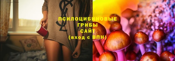 ГАЛЛЮЦИНОГЕННЫЕ ГРИБЫ Богородицк