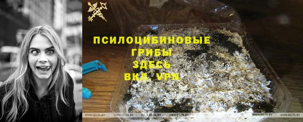МДПВ Богородск